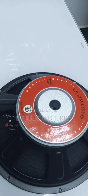 R O Stage Sound Naked Speaker 15 Inches Speaker