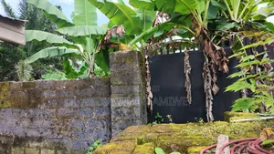Half Plot of Land for Sale Umuahia Abia State