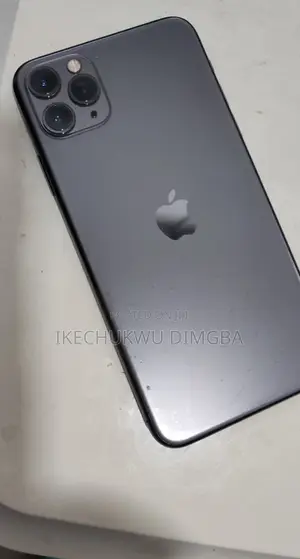 Apple iPhone 11 Pro Max 256 GB Gray