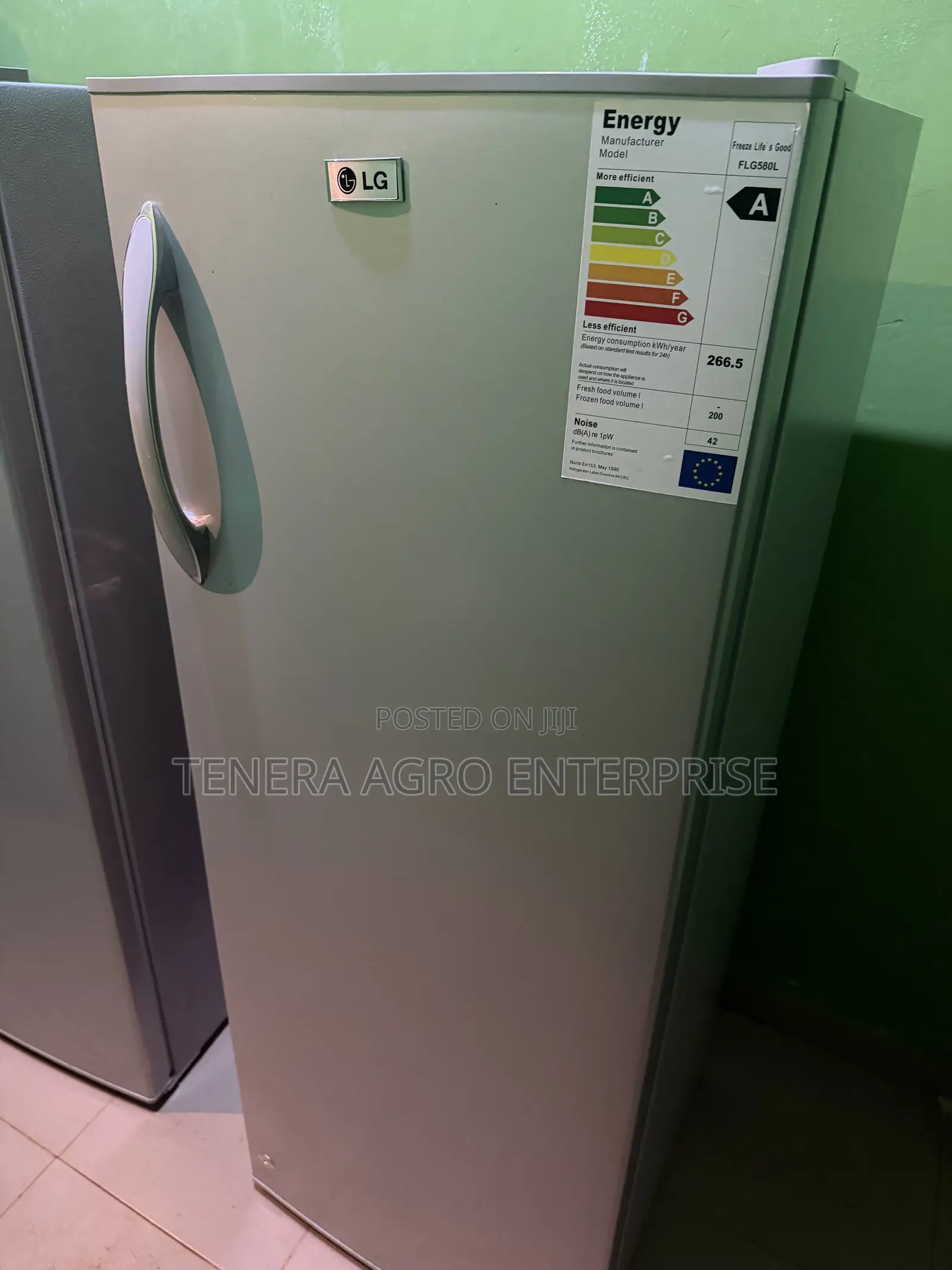LG Standing Freezer