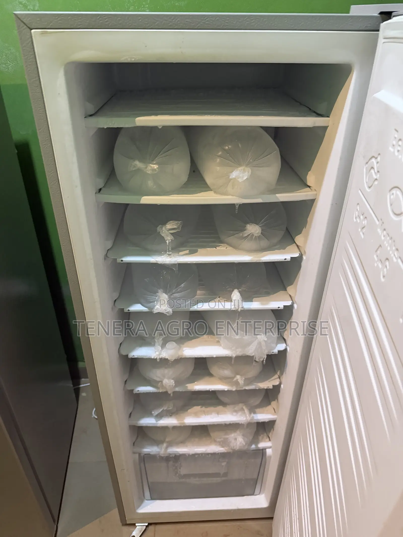 LG Standing Freezer