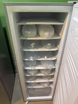 LG Standing Freezer