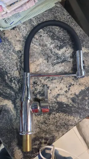 Executive Flexible Kitchen Tap