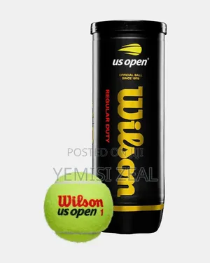 Wilson Lawn Tennis Ball