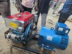 20KVA RIXUAN BASIC DIESEL GENERATOR With 1115 Engine 100%copper Coil