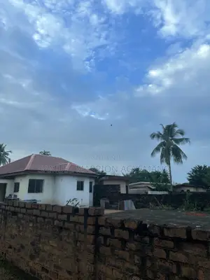 Property for Sale by the Roadside – Low-Cost, Naka Road