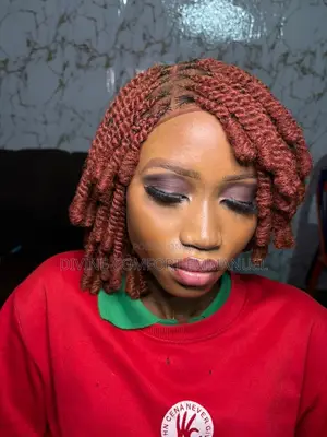 Kinki Twist Braided Wig