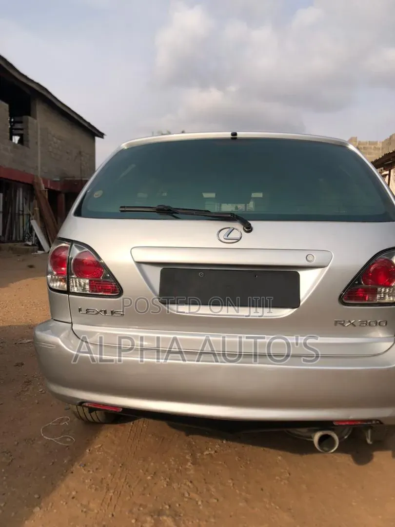Lexus RX 2004 Silver