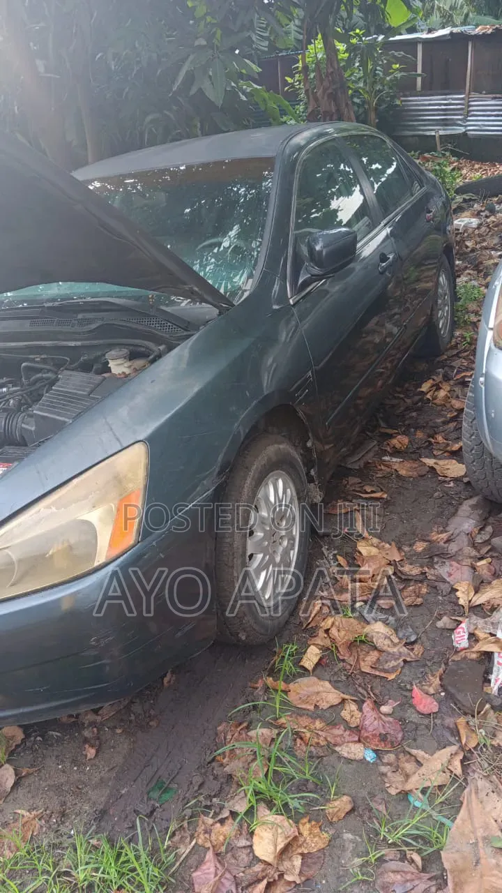 Honda Accord 2005 Gray