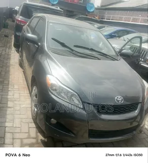 Toyota Matrix 2010 Gray