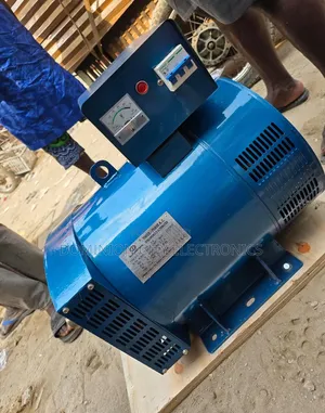 32kw/40kva Alternator Coil Three Phase 100% Copper Coil