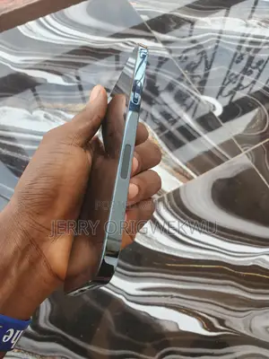 Apple iPhone 12 Pro Max 256 GB Blue