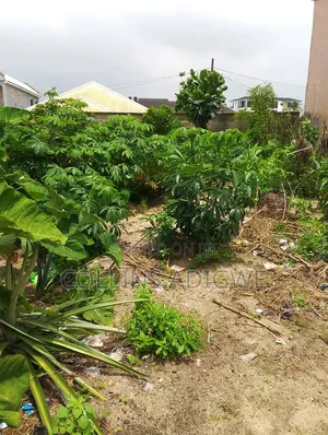 500sqm Dry Land Ogombo