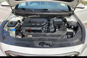 Hyundai Sonata 2016 White