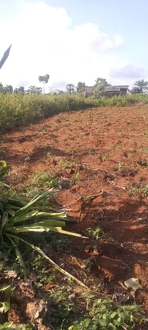 Per Plot Is Going for 2.8m Affordable Price in a Developed Environment
