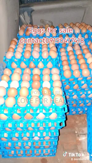 Crates of Eggs