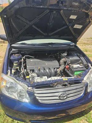 Toyota Corolla 2003 Blue