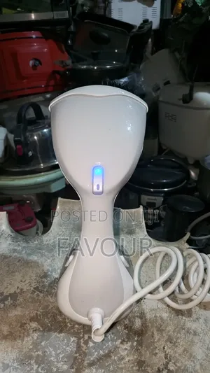 Garment Steamer/Steaming Iron