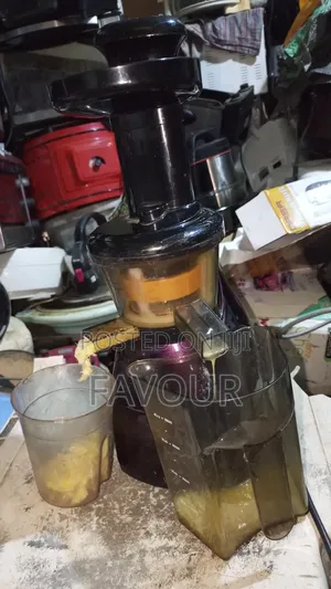 Silver Crest Cold Press Slow Juicer