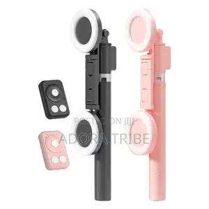 Double Light Selfie Stick Tripod