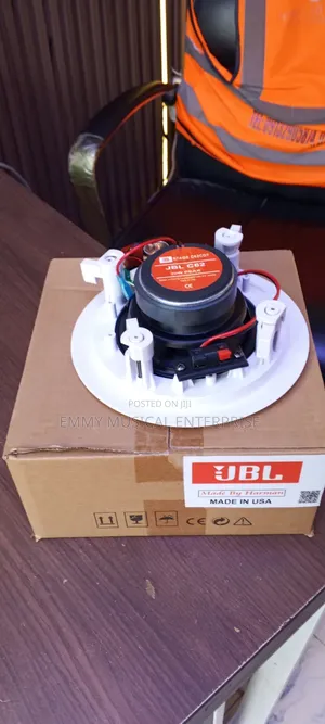 Original JBL Ceiling/Pop Speaker