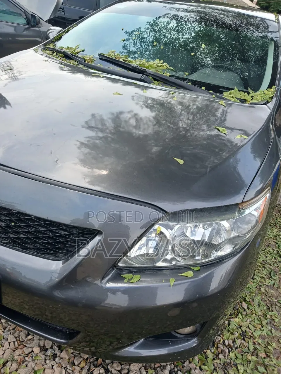 Toyota Corolla 2008 Gray