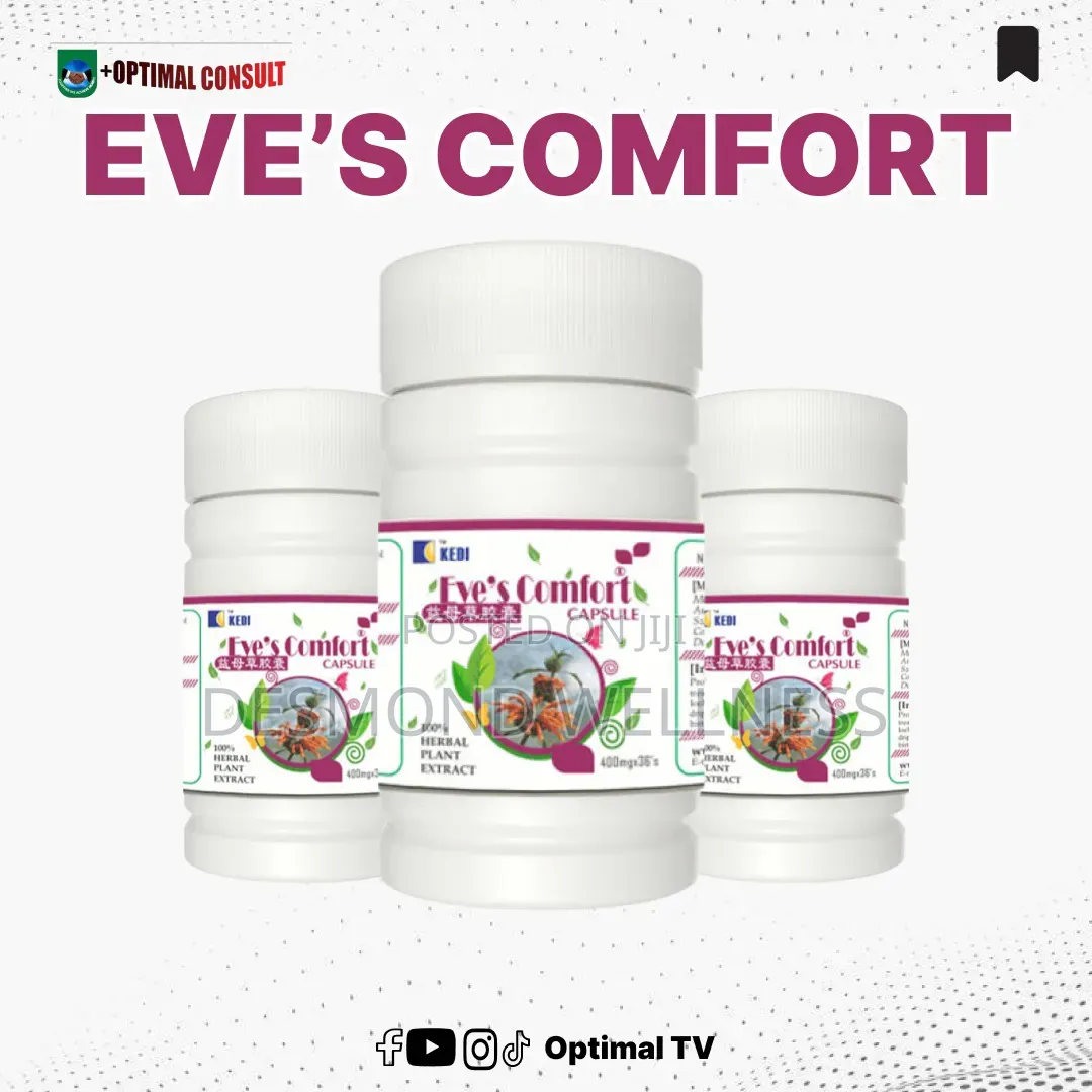 Kedi Eve's Comfort