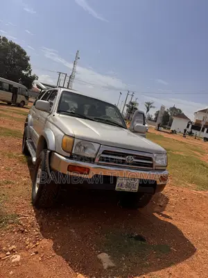 Toyota 4-Runner 1996 Gray