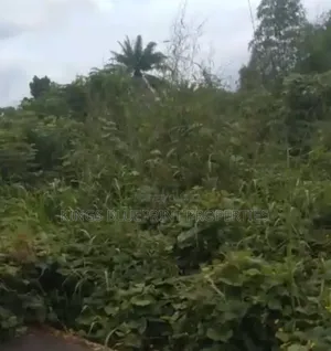 51 Acres of Land for Sale at Olokobare After Orerokpe Okpe Lga Delta St