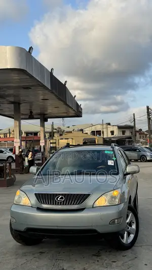 Lexus RX 350 4x4 2007 Gray