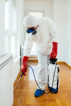 Peterside Cleaning and Fumigation Services