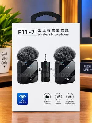 BKN F11-2 Wireless Microphone