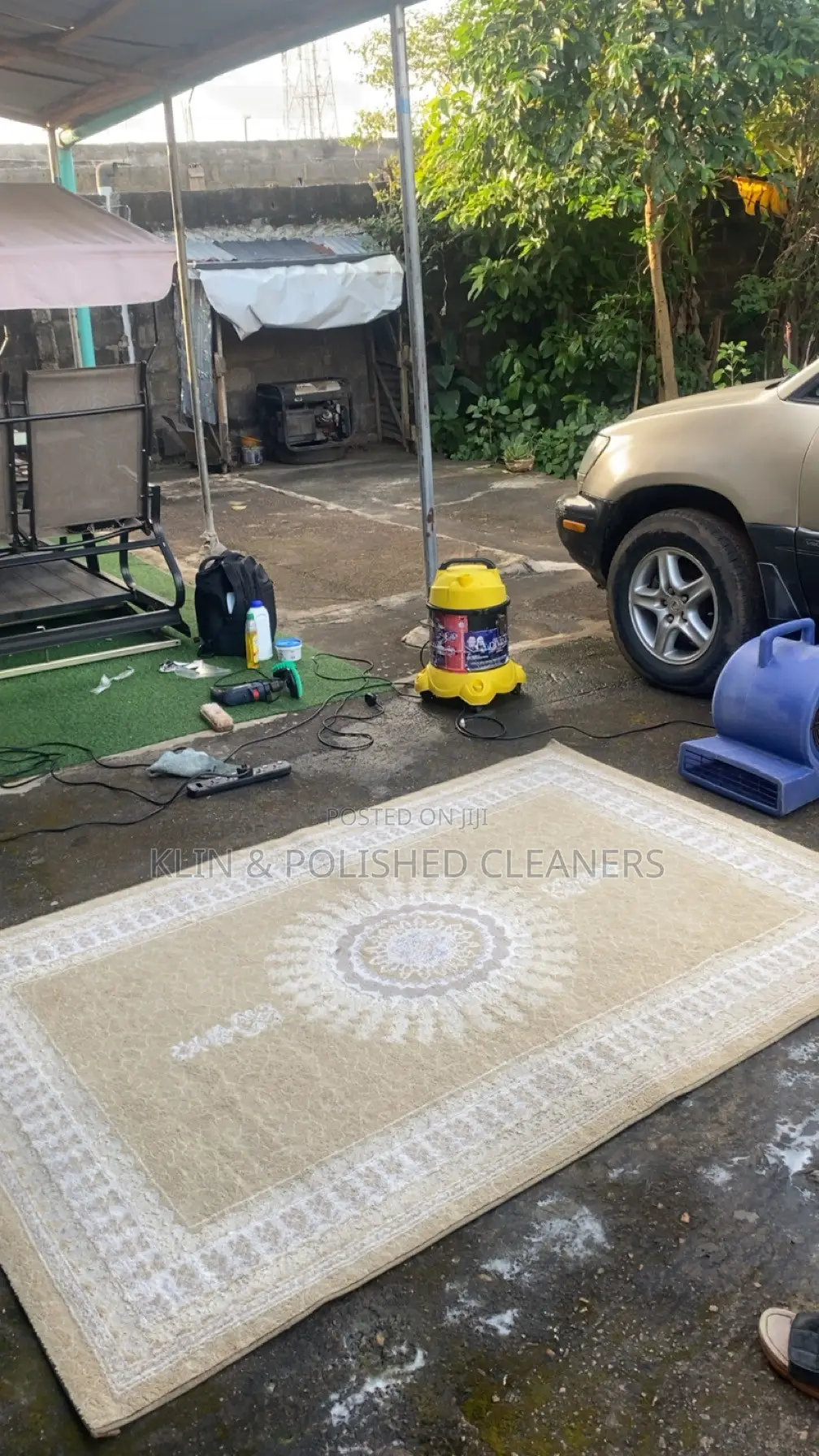 Pro Rug Washing