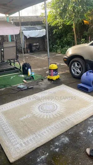 Pro Rug Washing