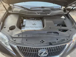 Lexus RX 2010 Gray