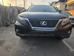 Lexus RX 2010 Gray