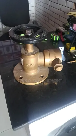 Angle Landing Valve
