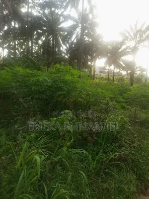 1 Plot for Sale at Nibo