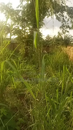 1 Plot for Sale at Nibo