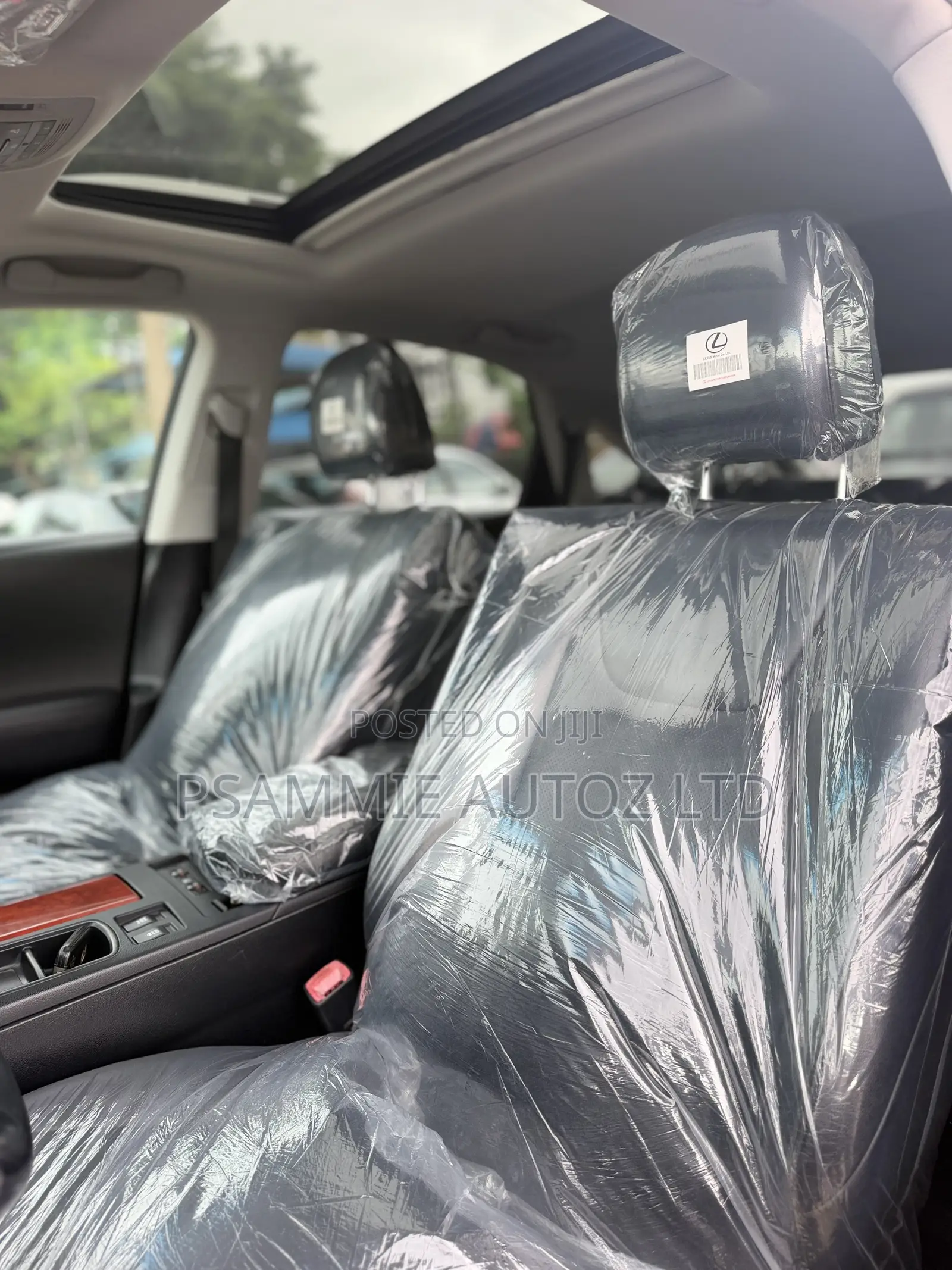 Lexus RX 2010 Black