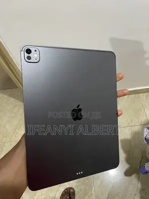 Apple iPad Pro 13 (2024) 256 GB Gray