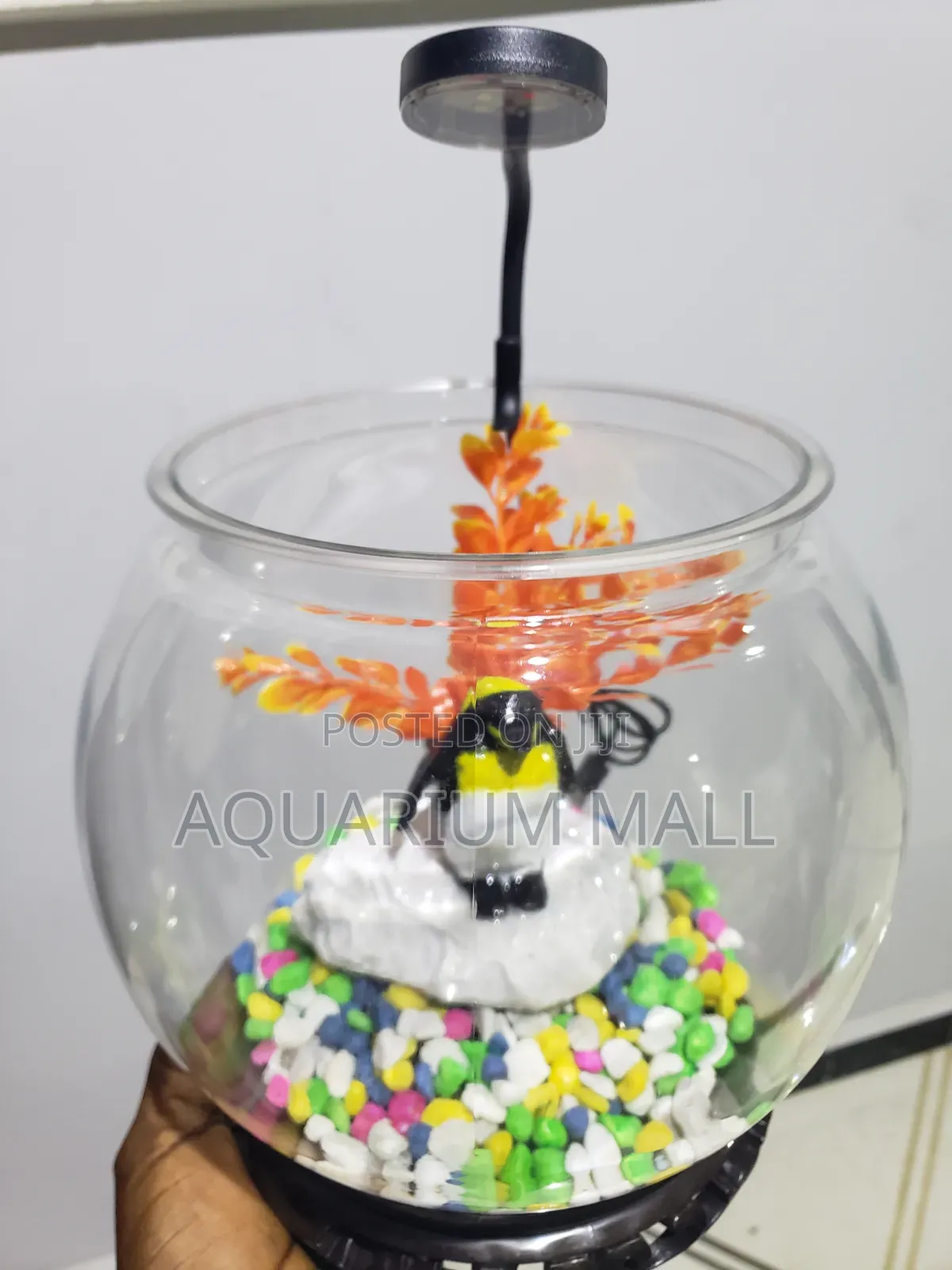 Aquarium Bowl