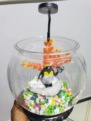 Aquarium Bowl