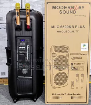 Modern Day Double 15 Inches Public Address System
