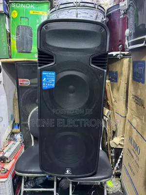Grace Sound Double 15 INCHES Public Address System With Speaker Output