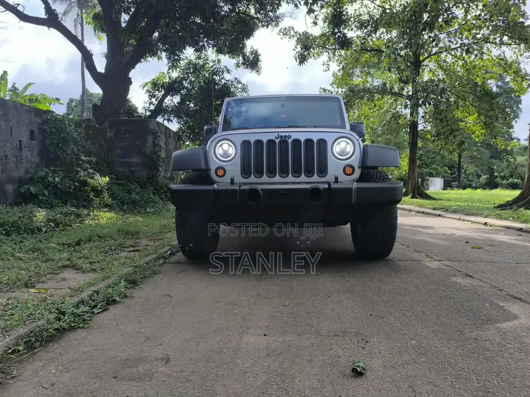 Jeep Wrangler 2010 Silver