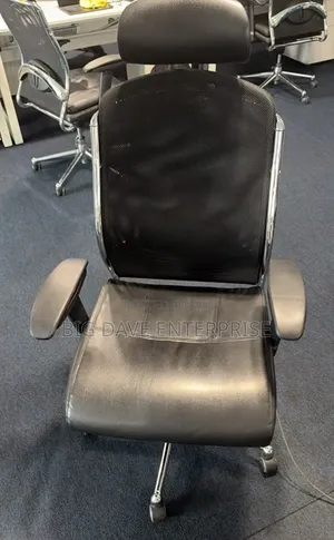 Executive Office Chair