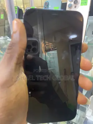 Apple iPhone 12 Pro Max 128 GB Blue