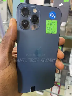 Apple iPhone 12 Pro Max 256 GB Blue