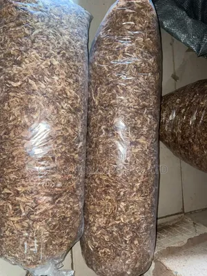 Bags of Crayfish